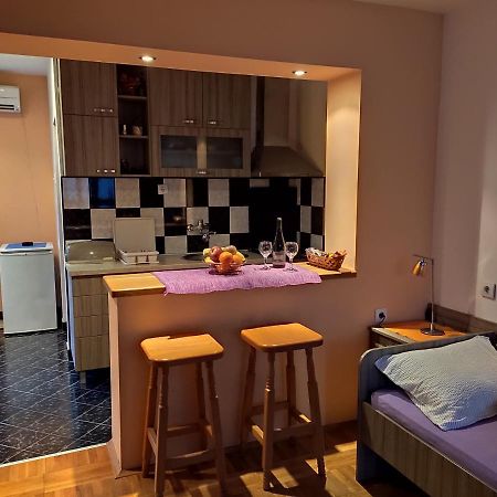 Apartman Ristic Niska Banja Bagian luar foto