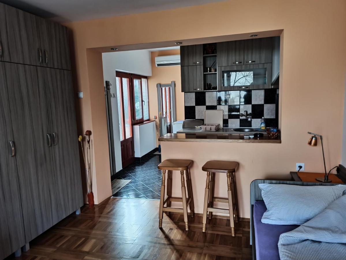 Apartman Ristic Niska Banja Bagian luar foto