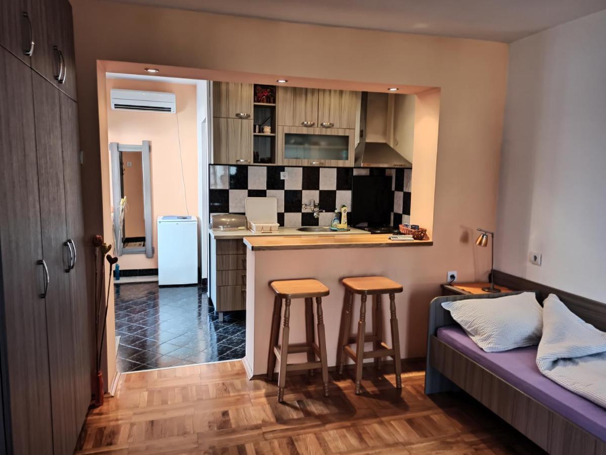 Apartman Ristic Niska Banja Bagian luar foto