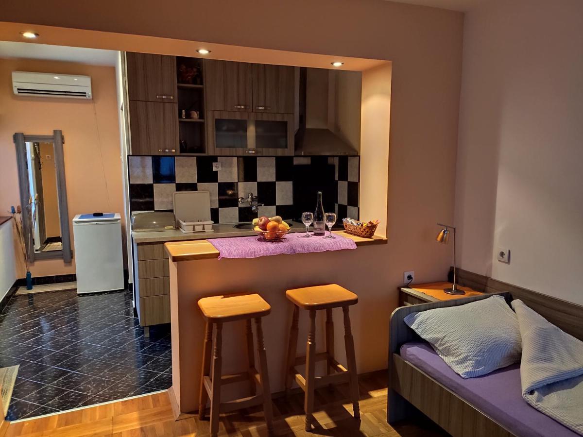Apartman Ristic Niska Banja Bagian luar foto