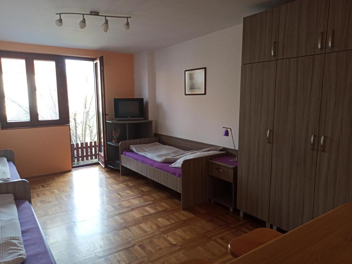 Apartman Ristic Niska Banja Bagian luar foto