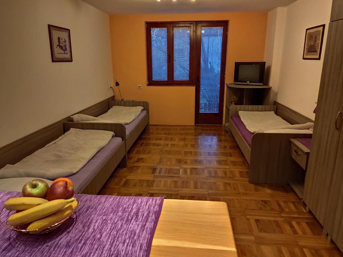Apartman Ristic Niska Banja Bagian luar foto